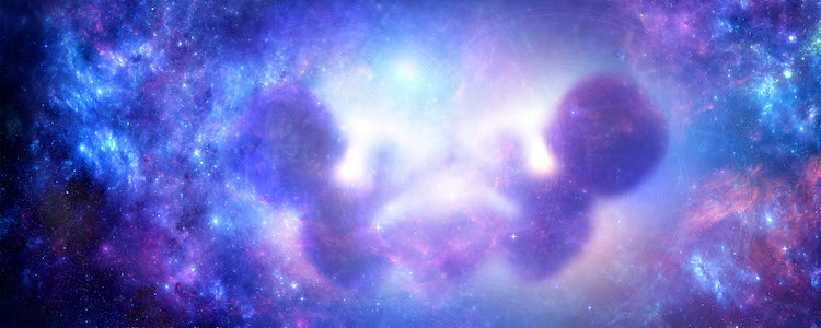Understanding consciousness twins